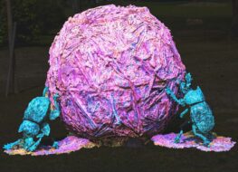 016 - muggio morbio inferiore